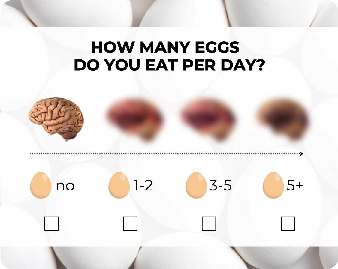 eggs